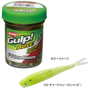 ガルプ 釣具 アライブの人気商品 通販 価格比較 価格 Com ガルプ 釣具 アライブの人気商品 通販 価格比較 価格 Com