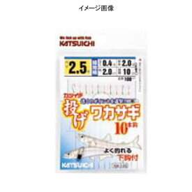 カツイチ(KATSUICHI) 投げワカサギ NW-10S 2号 赤×ゴールト