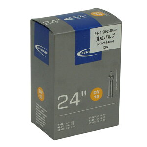 SCHWALBE(Vx) yKiz`[u 24C` No.10 TCN/] p40mm 24C` 40/62-507 10-DV