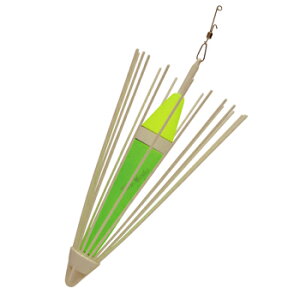 y12/5 ő2,000~OFFz ޕ ԂуELpXL[ `[g