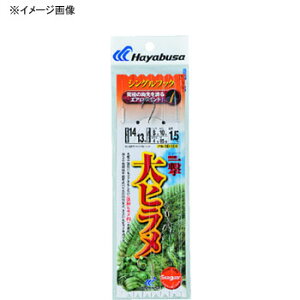 nuT(Hayabusa) aꌂ q VO1Zbg 14-13/10 ×㍕ SD166