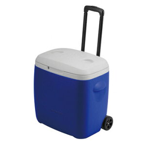 y12/5 ő2,000~OFFz LveX^bO(CAPTAIN STAG) K[h zC[N[[ 28L u[ M-5281