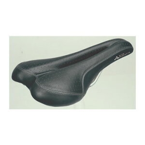 GIZA PRODUCTS(MUv_Nc) VL-1146 Th ]/TCN ubN SDL17500
