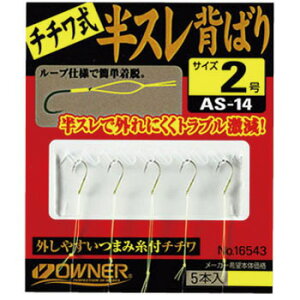 I[i[j AS-14 Xw΂`` 2 16534