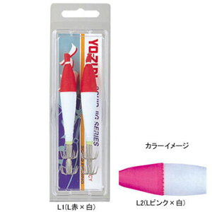 fG(DUEL) uHPvXbeJt Y2 z 4.0 L2(LsN×) A1466-L2