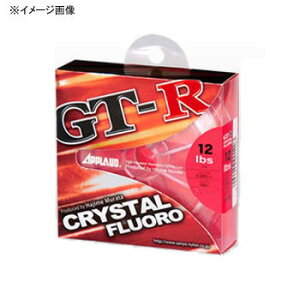 T[iC GT-R NX^t 100m 5lb NA[