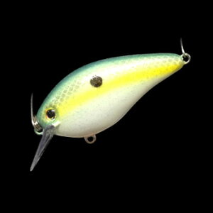 y12/1 ő2,000~OFFN[|&SiP2z Strike King(XgCNLO) KVD XNGArNNxCg 2.5 538 `[gZNV[Vbh