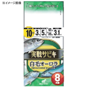 nuT(Hayabusa) TrL уI[ 8{b b13/nX5 SS090