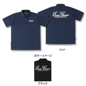 Go[O[(EVERGREEN) hC|Vc A^Cv(Go[O[) S4TCY