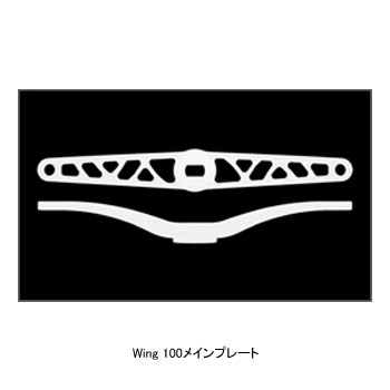 リブレ(LIVRE) WING(ウイング) シマノS2用 100mm TIG(チタン×ゴールド) WD100-FIS2-TIG | ナチュラム  楽天市場支店