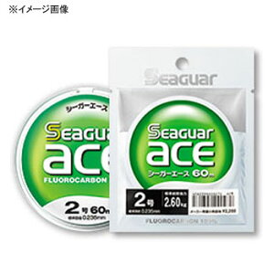 クレハ(KUREHA) シーガー エース 60m 単品 0.5号 クリア