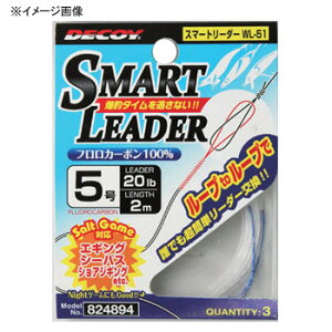 y12/1 ő2,000~OFFN[|&SiP2z JcC`(KATSUICHI) X}[g[_[ 2m 4/16lb WL-51