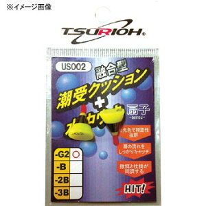 މ(TSURIOH) q 2P 3B US002
