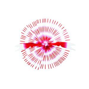 nuT(Hayabusa) W Jjo #1 bh HR215