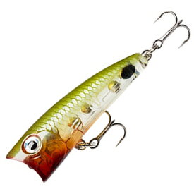 Rapala(ラパラ) ウルトラ ライト ポッパー 40mm GDAU ULP4-GDAU