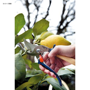 OPINEL(Isl) v[i[ O[ 41509