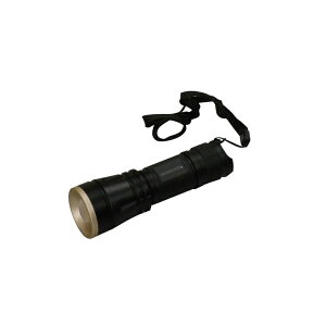 LveX^bO(CAPTAIN STAG) _A~PW`bvLEDCg1W80 UK-4024