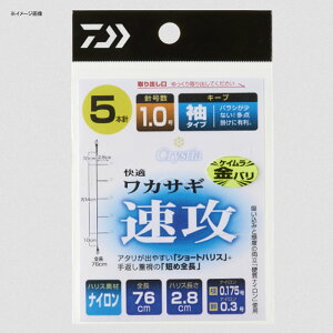 _C(Daiwa) NXeBA KJTMd|SS U L[v^ PCj 5{/1.5 07348003
