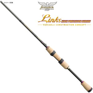 eBR(TIEMCO) tFEBbN NX LINKS64SULJ(Mid Strolling Special) 210212016420 yʑiz ^