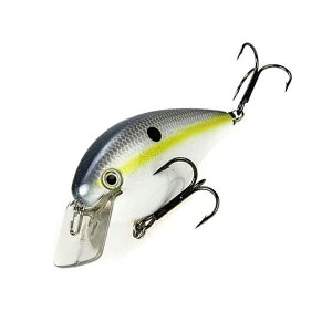 y12/5 ő2,000~OFFz XgCNLO XNGArNNxCg 4.25C` #590 ZNV[Vbh KVD 8.0