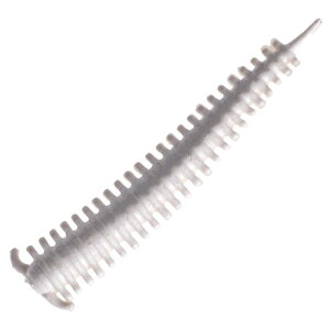 y12/5 ő2,000~OFFz o[NC Kv!\gEH[^[ Th[ 2C` zCg 1455572