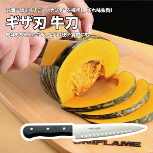 ���j�t���[��(UNIFLAME) �M�U�n ���� 661826