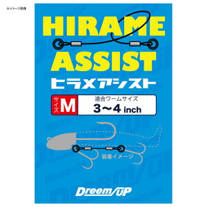ドリームアップ(DreemUp) ヒラメアシスト S 893748