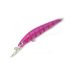 oXfC(Bassday) VK[ 2/3fB[v SG85F 85mm FL-339 tsN[uGB