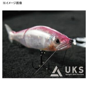 UKS(Uplight Kind System) SVK[h S[h