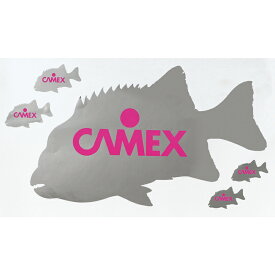 CAMEX(キャメックス) 石鯛ステッカー