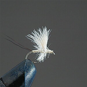 yGg[őSiP5{!10/4 20~z o[q(ValleyHill) ihCtC D3 CDC\bNX_ CR