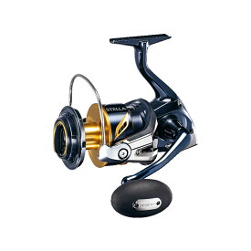 シマノ(SHIMANO) 19 ステラ SW 10000PG 039675