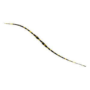 WbJ(JACKALL) rrT+lN^C Z~J[[ F120 V}V}GrIW