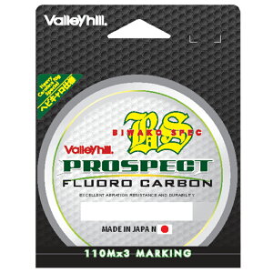 y12/5 ő2,000~OFFz o[q(ValleyHill) vXyNg i΃XybN 330m 16lb