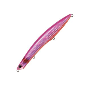 �y5/9-16�G���g���[�őS�i5�{�z �f���I(DUO) �r�[�`�E�H�[�J�[ �E�F�b�W 140mm CQA0280 �q�����s���NII