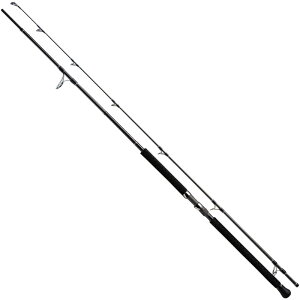 ロッド 釣竿 ss-100の人気商品・通販・価格比較 - 価格.com