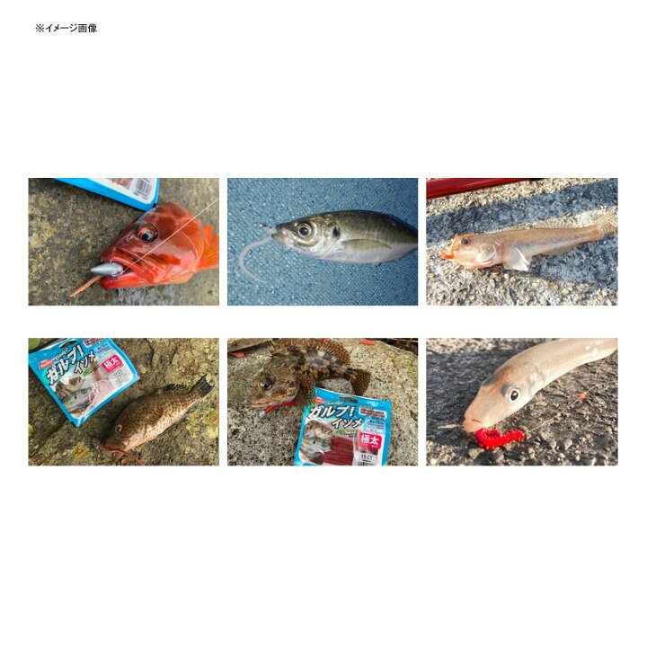 卸売 バークレー ガルプ サンドワーム4 イソメタイプ太身mb C エサ Pagamento Phbodontologia Com Br