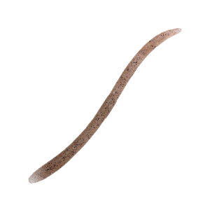 WbJ(JACKALL) tbNVFCN 5.8C` eiKGr