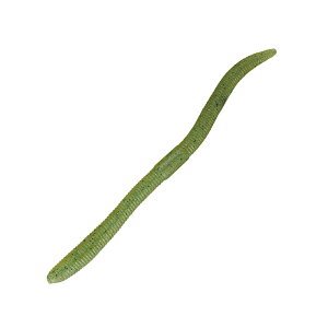WbJ(JACKALL) tbNVFCN 5.8C` Gr