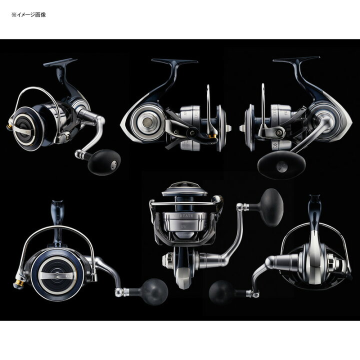 楽天市場】 ダイワ(Daiwa) 21セルテート SW 10000-P 00065014 