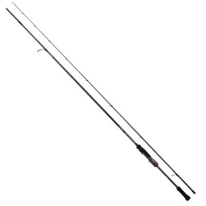 _C(Daiwa) G_X XgCXg RT(AEgKChf) 84M 05803181