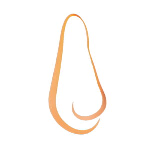 ܂(Gamakatsu)  VRlN^C }`~fBAJ[[ #5 IW 19311