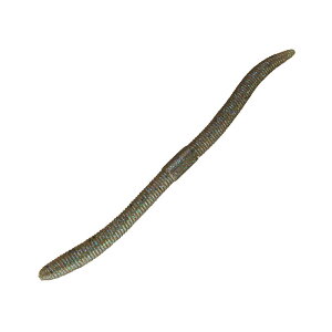 WbJ(JACKALL) tbNVFCN 3.8C` OpSr[ 267194418