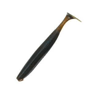 y12/1 ő2,000~OFFN[|&SiP2z _C(Daiwa) XeB[Y X^[OVbh 5.1C` _[NViu[t[N 07433682