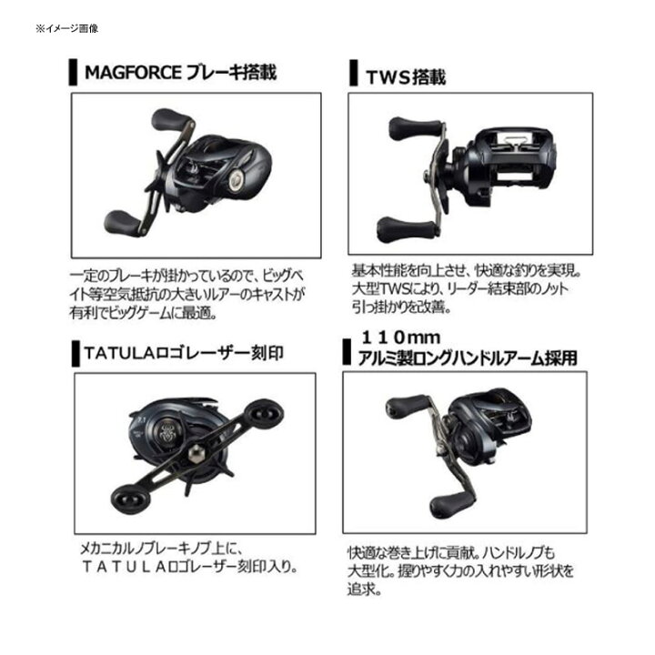本命ギフト ダイワ タトゥーラ Tw 400xh Tatula Www Anavara Com