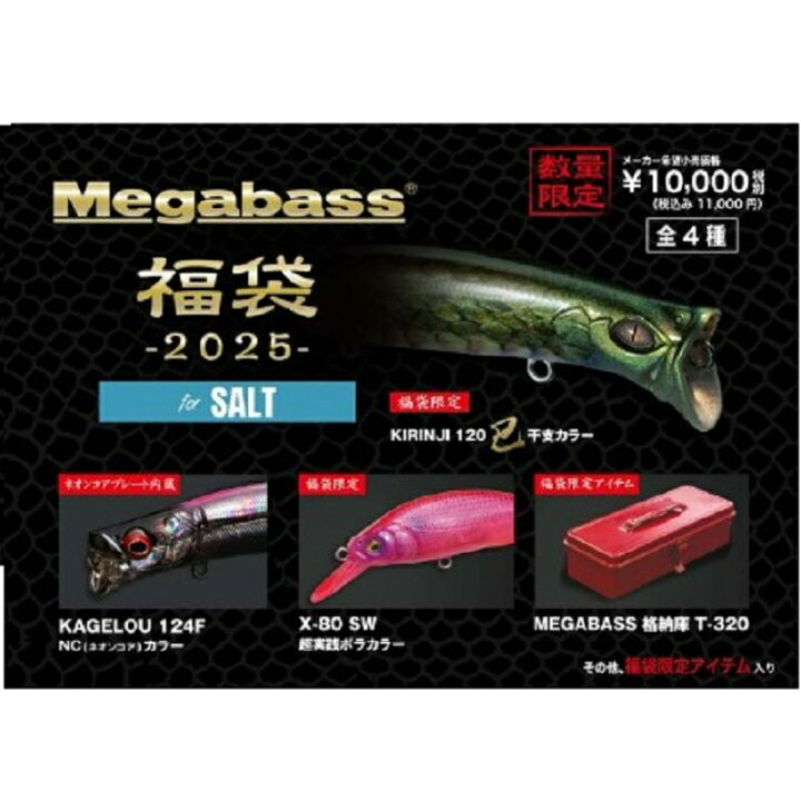 メガバス2025年福袋限定格納庫T-320のみ4個セット ソルト（予約でき 