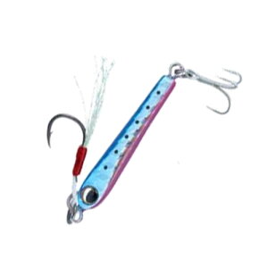 y12/1 ő2,000~OFFN[|&SiP2z _C(Daiwa) 21l vYi[ 3g usCV 07421295