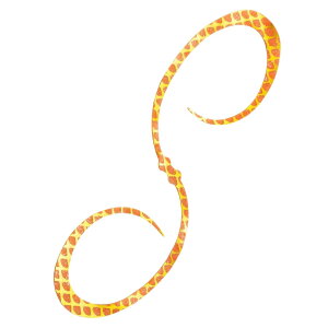 13-15͑Si+P5 V}m(SHIMANO)  X|XJ[[ 110mm 002(IWS[h) ED-X04U