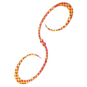 13-15͑Si+P5 V}m(SHIMANO)  X|XJ[[ 110mm 003(bhS[h) ED-X04U