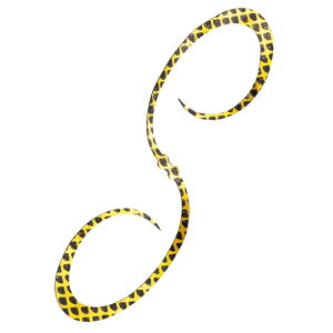 13-15͑Si+P5 V}m(SHIMANO)  X|XJ[[ 110mm 005(ubNS[h) ED-X04U